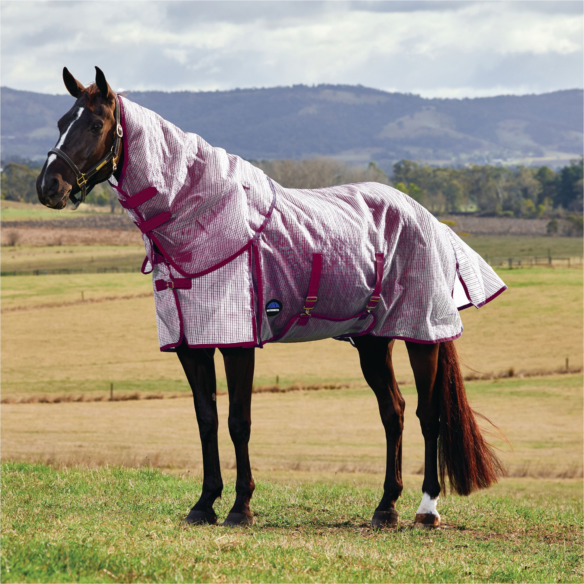 2026 WeatherBeeta Comfitec Ripshield Fly Sheet Detach-A-Neck 1029540 - White / Burgundy